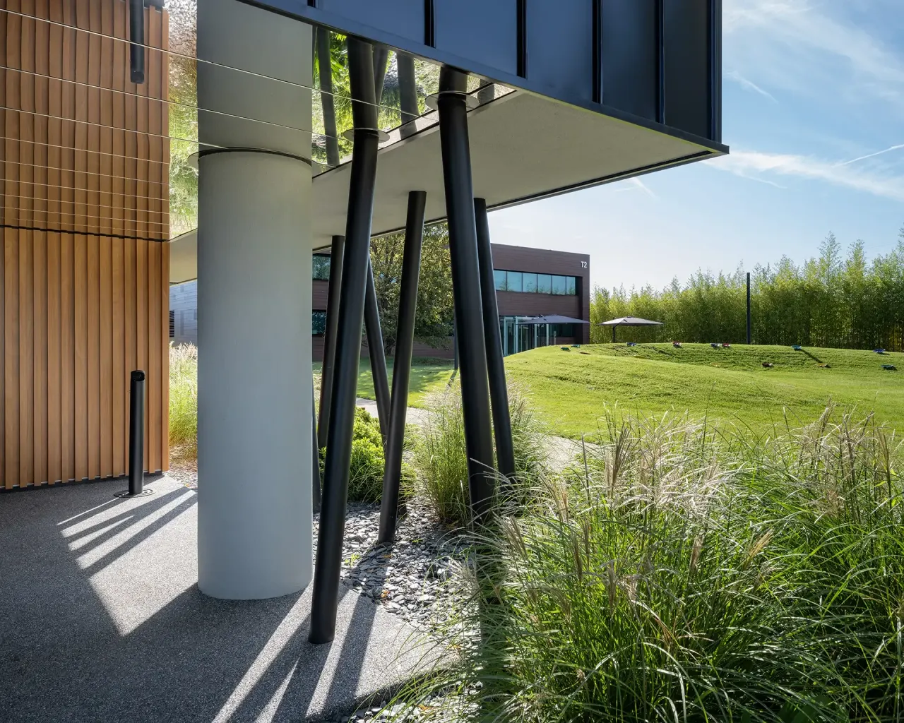 Raised building on slanted steel columns over a planted path