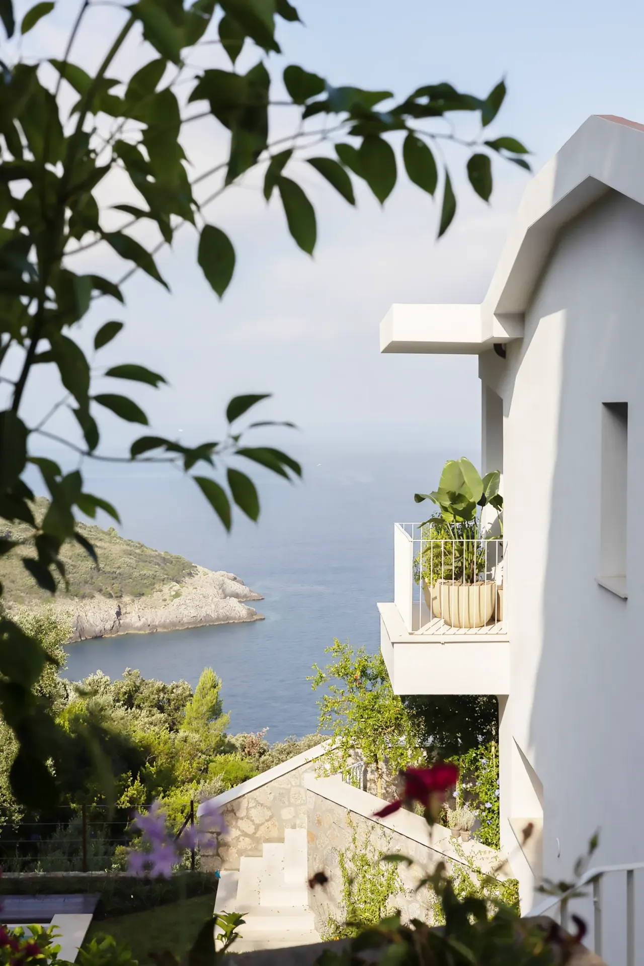 Sea view framed by trees beside the white villa