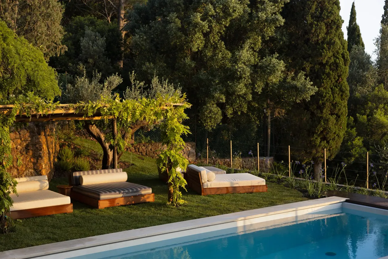 Pool and sun loungers under a pergola surrounded by trees
